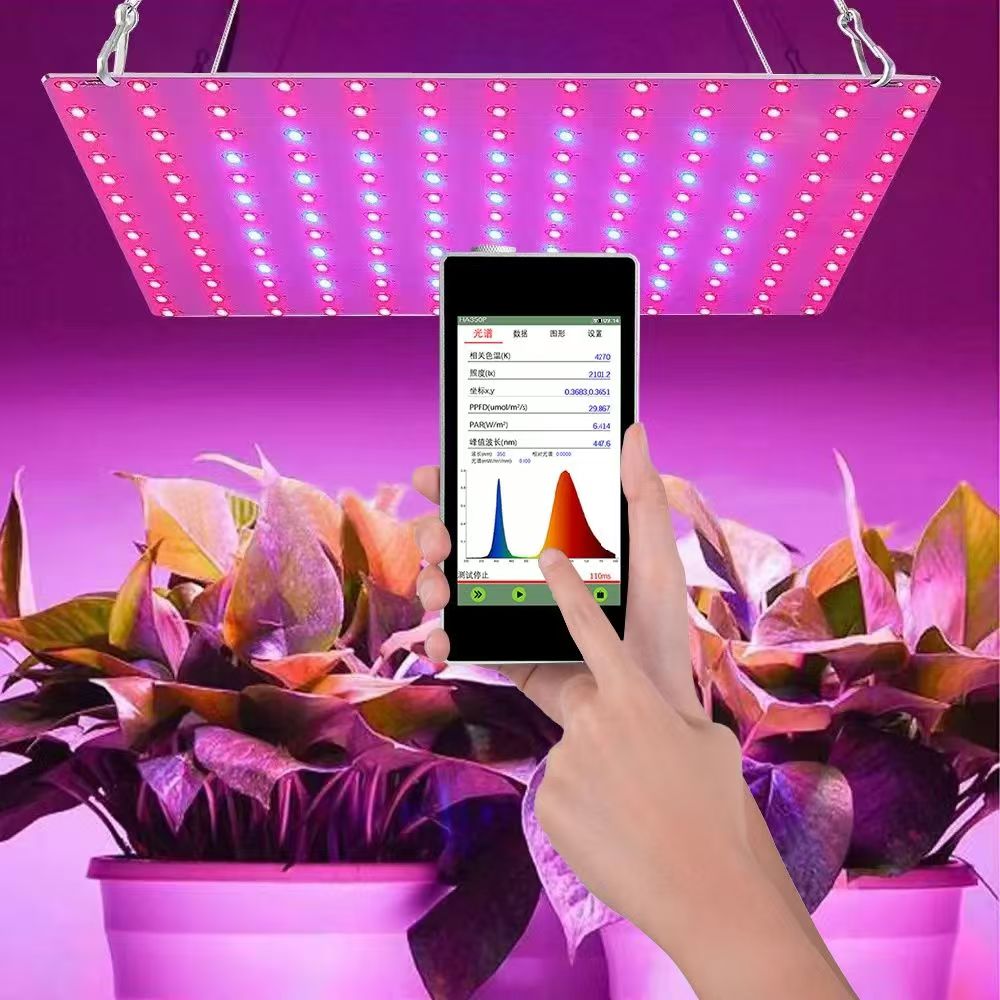 HA350P植物光照分析仪.jpg